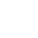 Foundations and Structural Support icon