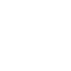 Government Infrastructure icon